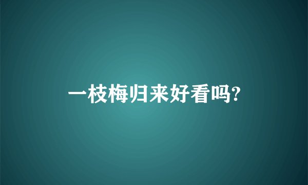 一枝梅归来好看吗?