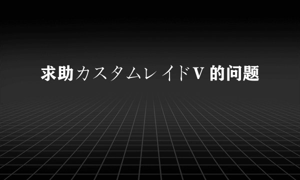 求助カスタムレイドV 的问题