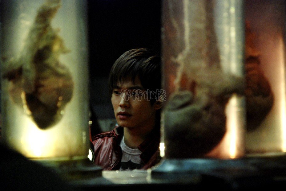 解剖学教室的剧情简介