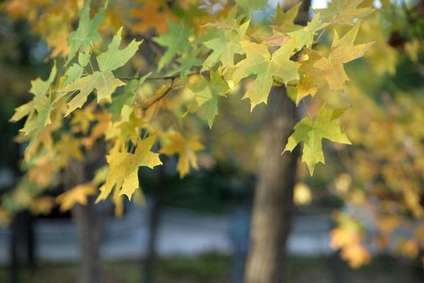 凉露惊秋是几月份