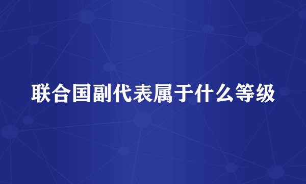 联合国副代表属于什么等级