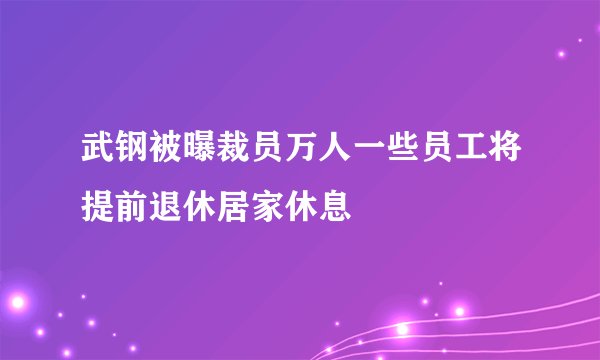 武钢被曝裁员万人一些员工将提前退休居家休息