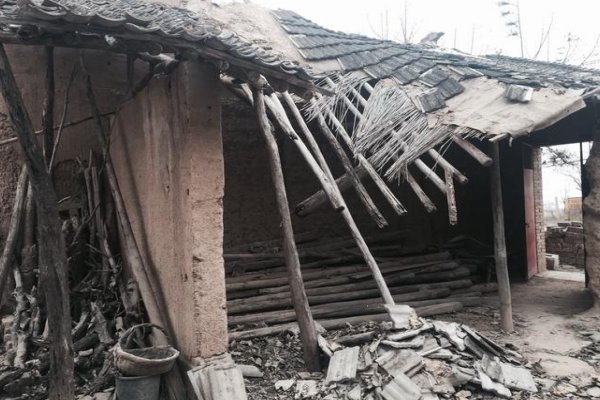 年久失修打一生肖动物