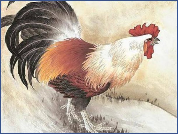 2023十二生肖年龄表