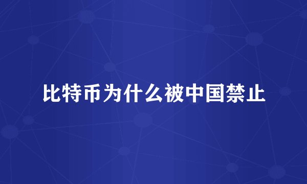 比特币为什么被中国禁止