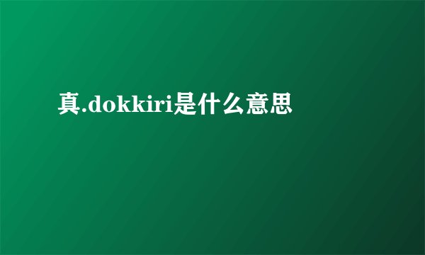 真.dokkiri是什么意思