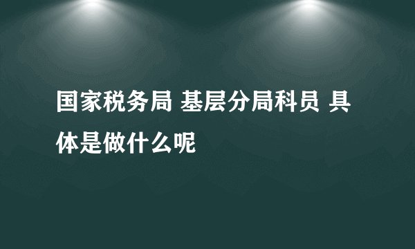 国家税务局 基层分局科员 具体是做什么呢