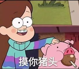 花小猪打车为何遭到叫停？