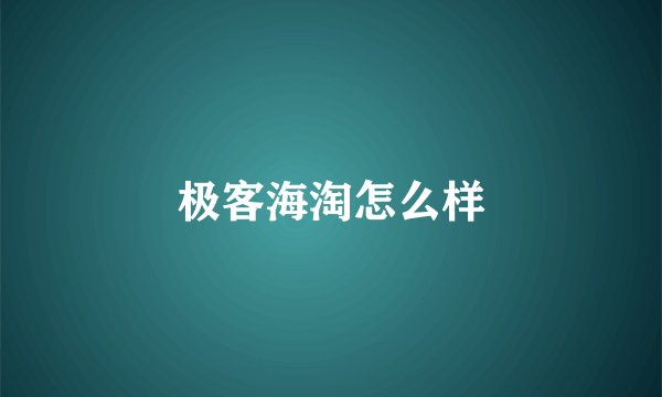极客海淘怎么样