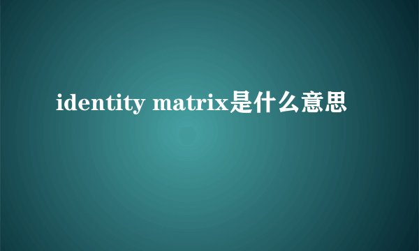 identity matrix是什么意思