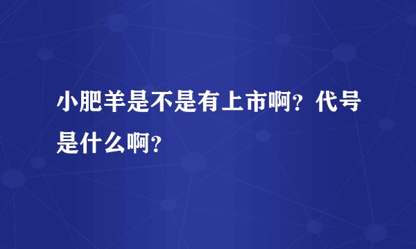 小肥羊是不是有上市啊？代号是什么啊？