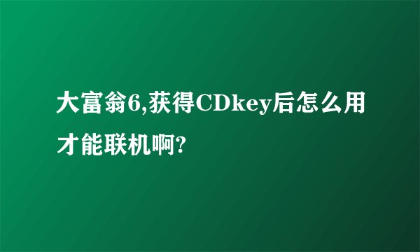 大富翁6,获得CDkey后怎么用才能联机啊?