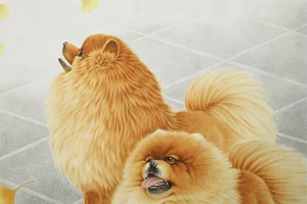 俯仰之间猜生肖是什么