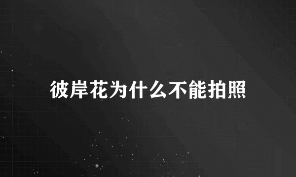 彼岸花为什么不能拍照