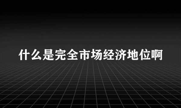 什么是完全市场经济地位啊