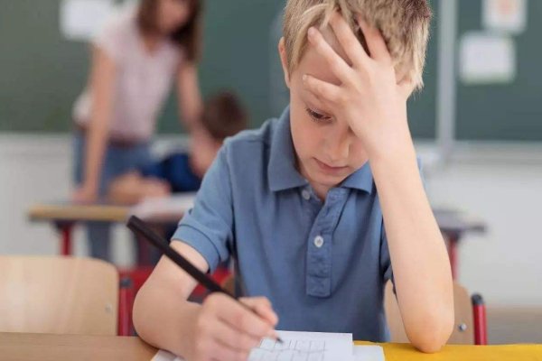 守法奉公比喻什么动物呢