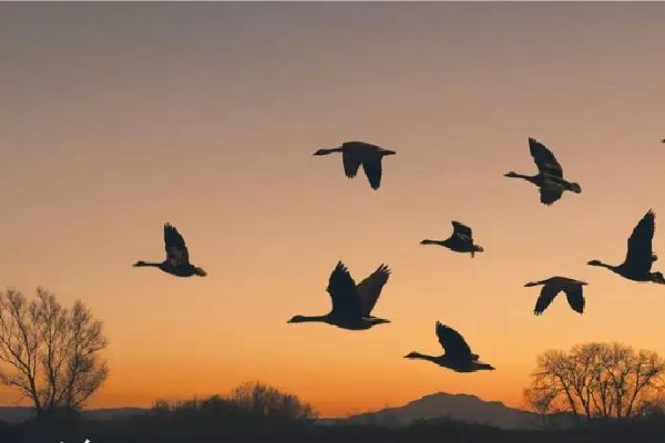 凉露惊秋是几月份