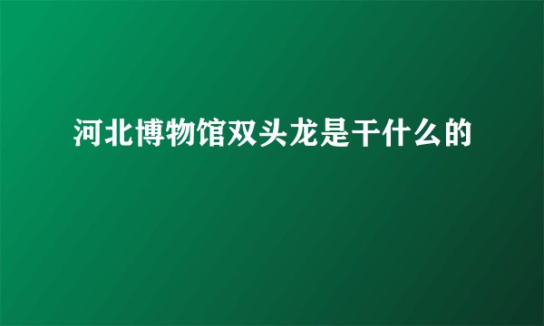 河北博物馆双头龙是干什么的