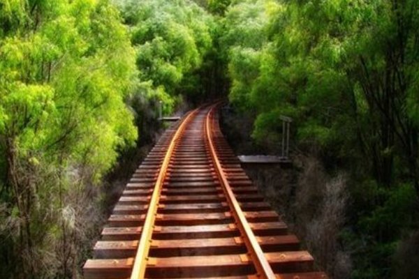 隐隐约约指哪个生肖动物