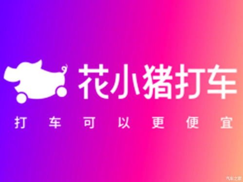 花小猪打车为何遭到叫停？