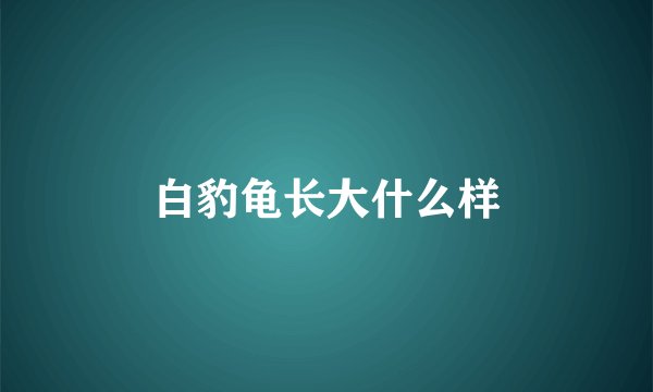 白豹龟长大什么样