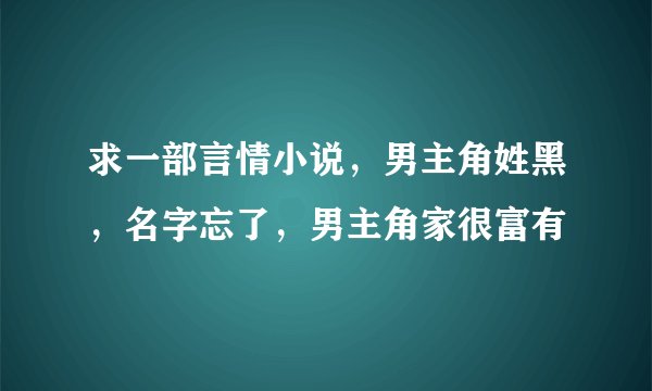 求一部言情小说，男主角姓黑，名字忘了，男主角家很富有