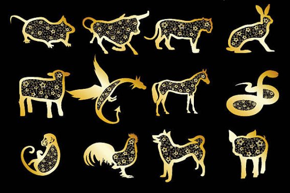 贪婪成性指什么肖