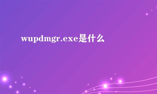 wupdmgr.exe是什么