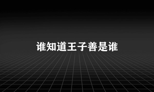 谁知道王子善是谁