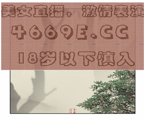 外国论坛sq什么意思