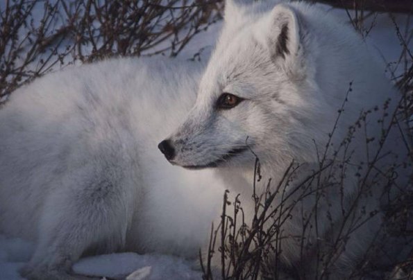 有没有什么女主超过50个的玄幻小说？