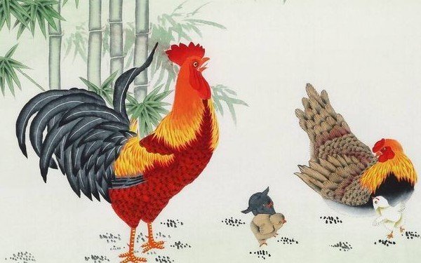 帮狗吃食是什么生肖