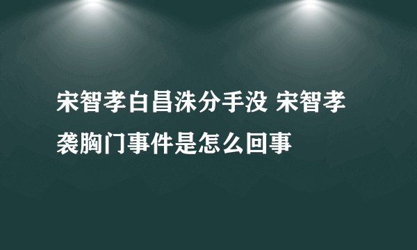 宋智孝白昌洙分手没 宋智孝袭胸门事件是怎么回事