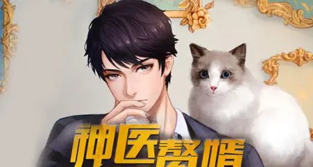 岐黄十三针的小说