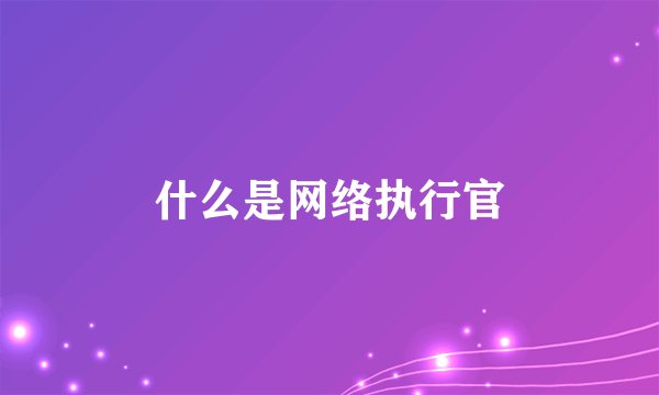 什么是网络执行官