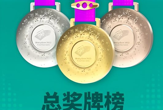 杭州亚残运会金牌一览表