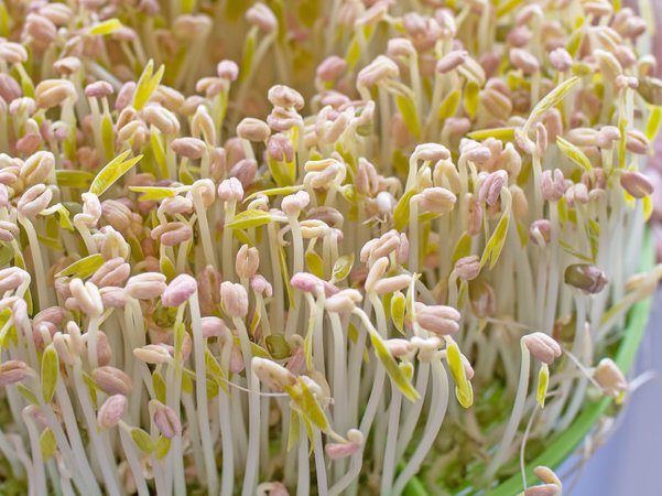 烤鱼盘还可以做什么菜