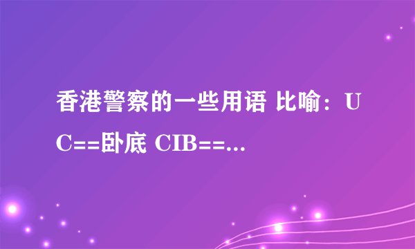 香港警察的一些用语 比喻：UC==卧底 CIB==刑事情报科 o记==有组织罪案及三合会调查科