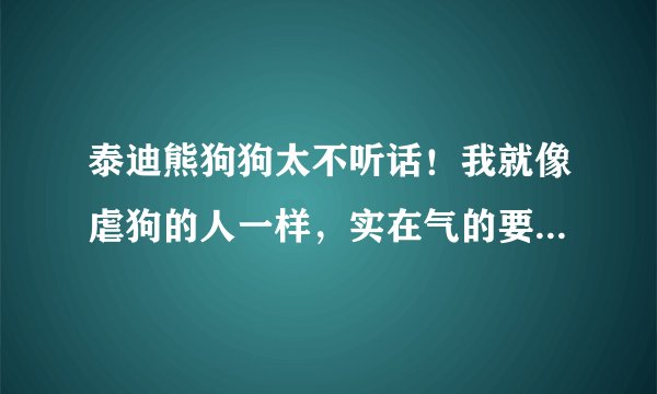 泰迪熊狗狗太不听话！我就像虐狗的人一样，实在气的要吐血了，没办法，已经超出人类忍受极限了。