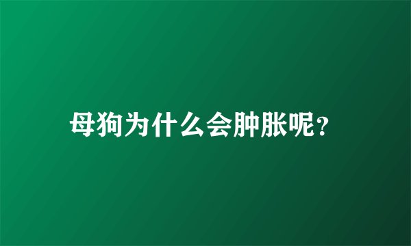 母狗为什么会肿胀呢？