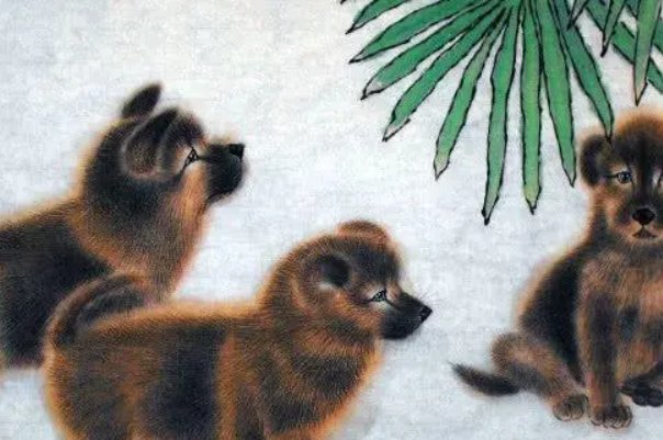 不古不今,打一正确生肖