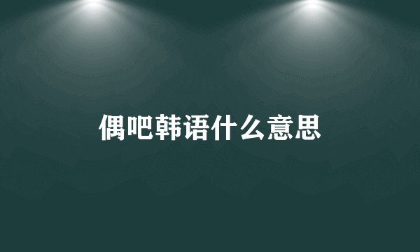 偶吧韩语什么意思