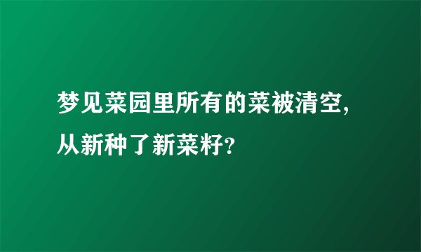 梦见菜园里所有的菜被清空,从新种了新菜籽？