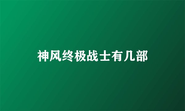神风终极战士有几部