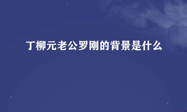 丁柳元老公罗刚的背景是什么