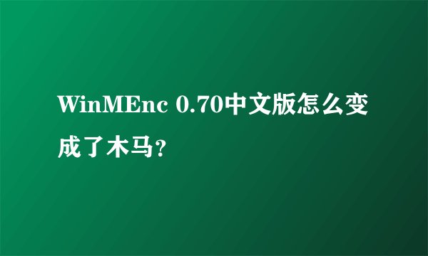 WinMEnc 0.70中文版怎么变成了木马？
