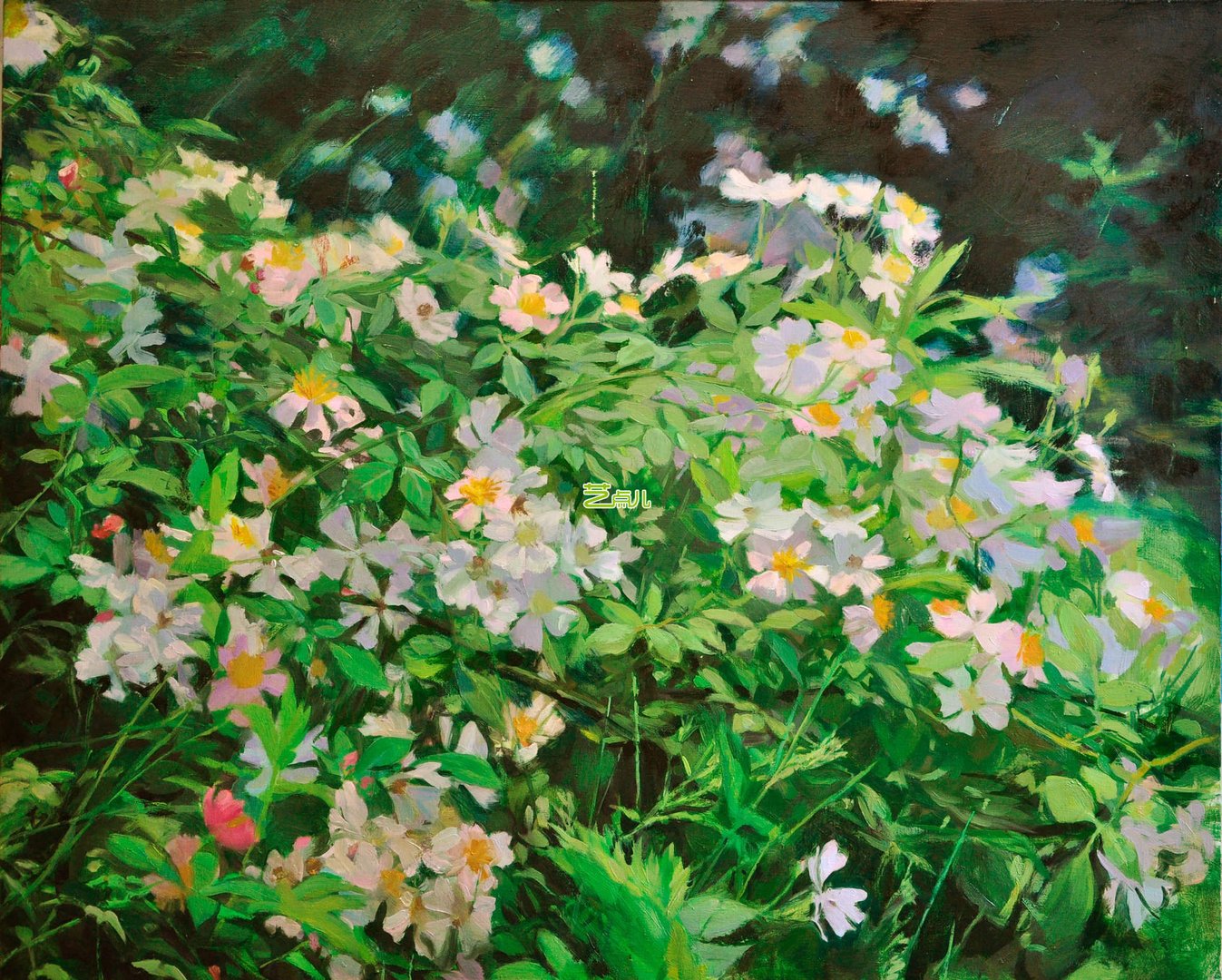 常开野蔷薇的《常开野蔷薇》详细剧情