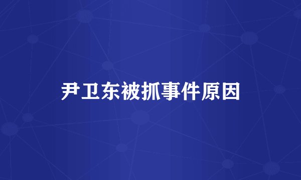 尹卫东被抓事件原因