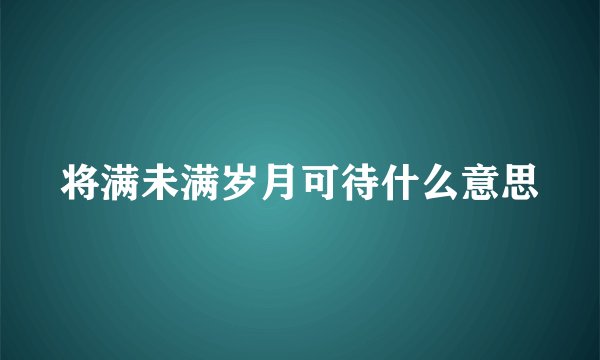 将满未满岁月可待什么意思