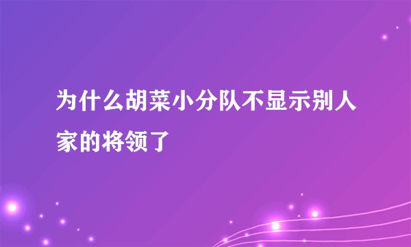 为什么胡菜小分队不显示别人家的将领了